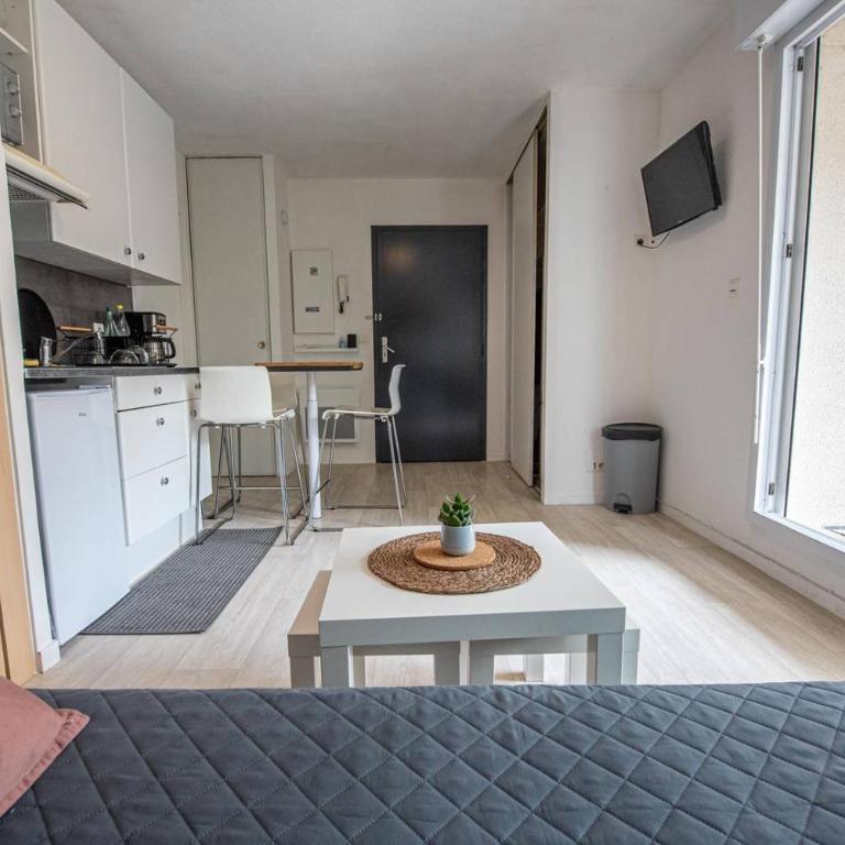 Residence du Centre Joli studio rénové avec coin nuit terrasse et parking privé - Apartamento con terraza - 4