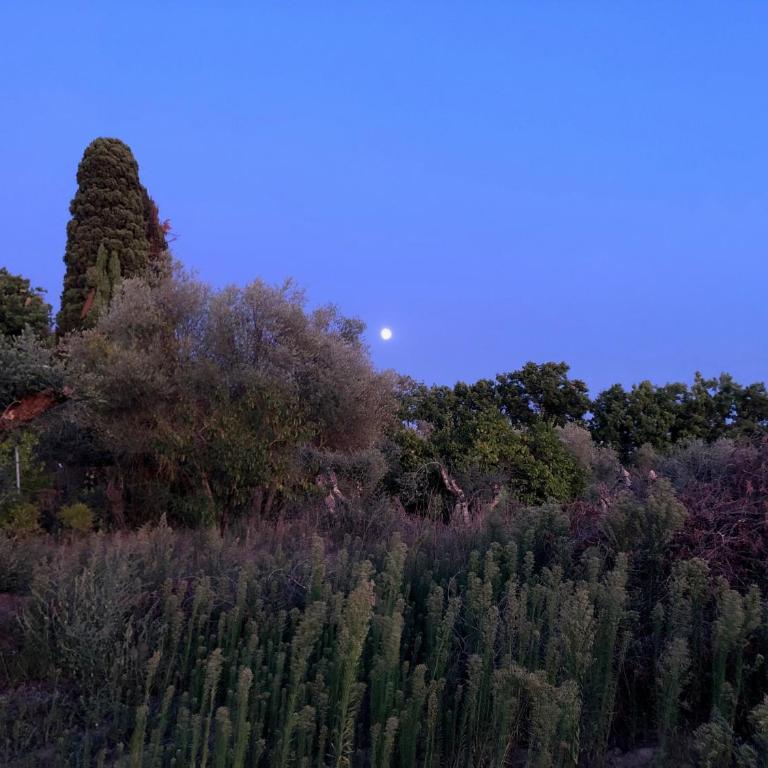 Casolare La Vigna - Two-Bedroom Deluxe Apartment with Garden View - 27