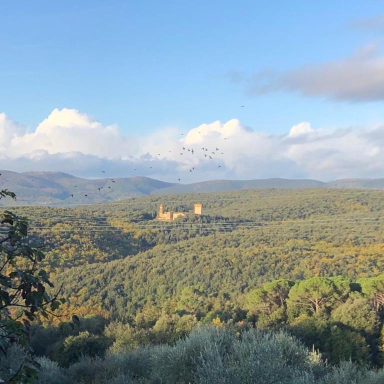 Casolare La Vigna - Two-Bedroom Deluxe Apartment with Garden View - 38