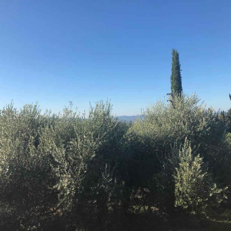 Casolare La Vigna - Two-Bedroom Deluxe Apartment with Garden View - 35