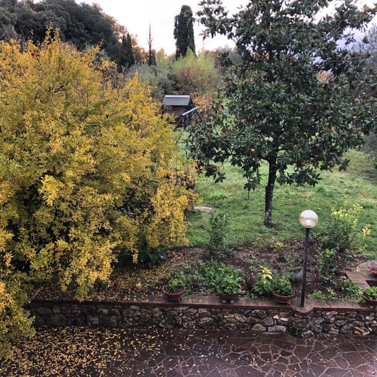 Casolare La Vigna - Two-Bedroom Deluxe Apartment with Garden View - 44