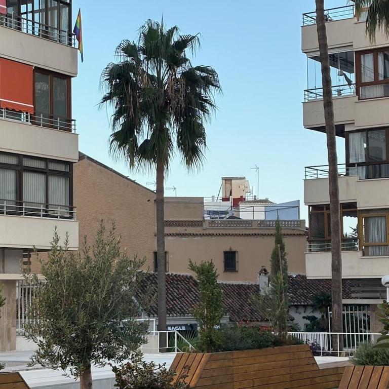Bungalow 3 La Nogalera- city center- Garden view - Apartamento de 1 dormitorio - 20