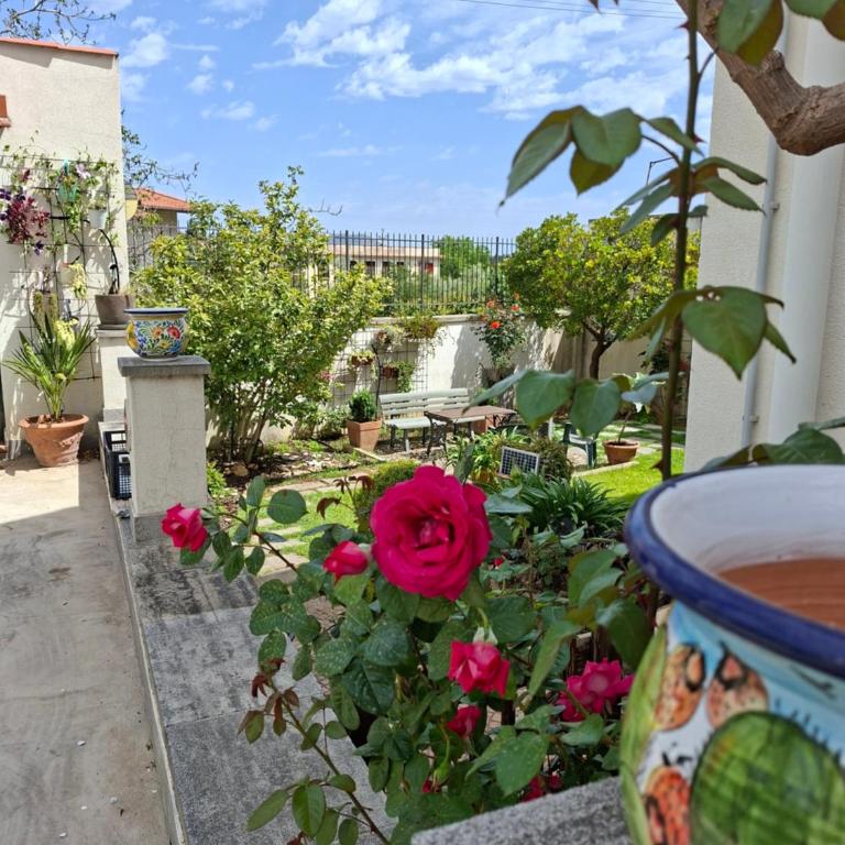 La perla della Conca d'Oro - Vacation Home - 30