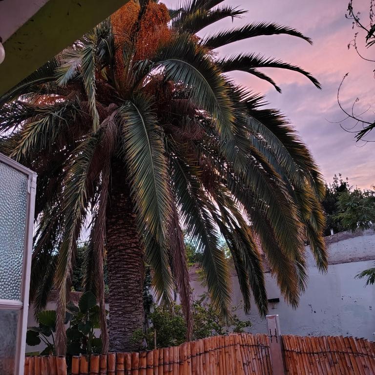 HouseBoutique apartment en Godoy Cruz, Mendoza - Apartamento de 1 dormitorio - 4