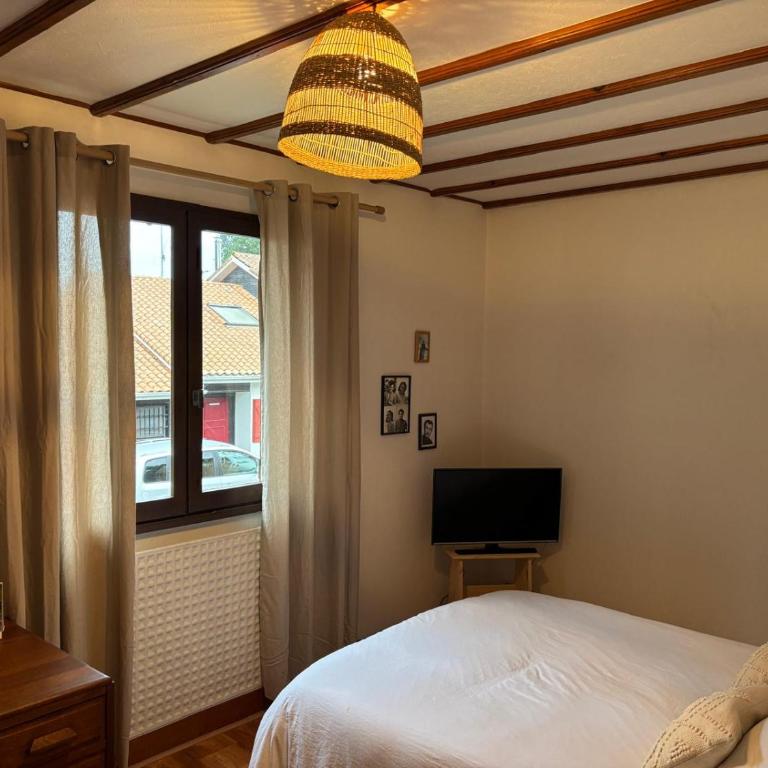 Maison familiale de vacances proche océan, dune Pyla, plages, lac de Cazaux, sites de loisirs - Casa con 3 Camere da Letto - 22