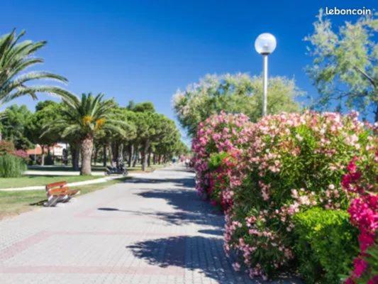 Argelès Plage, Argelès sur Mer - Appartement 2 Chambres - 14