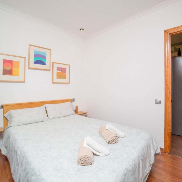 Spacest - Carretera d'Escrivà A - Apartment - 10