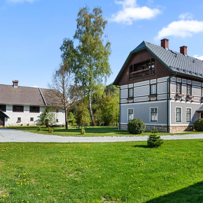 Gutshof Weißenbach - Appartement Supérieur - 19