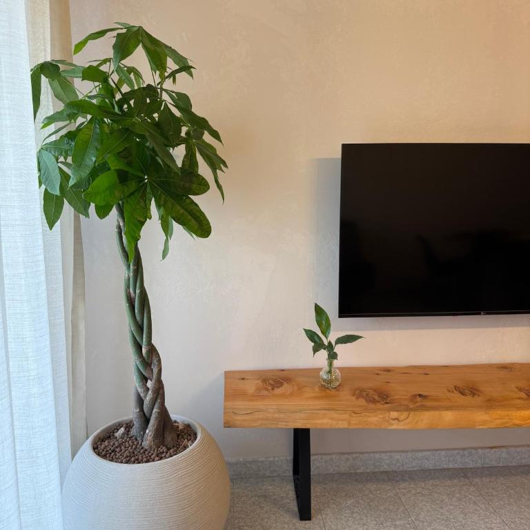 Aurevia Biophilic Apartments - Appartamento con 1 Camera da Letto - 8