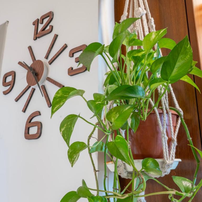 Lingotto Fiere - Modern apartment - Metro 5 minutes - Appartement 1 Chambre - 18