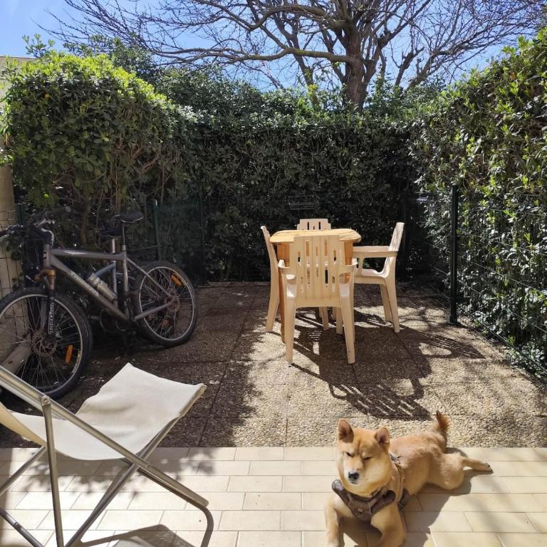 Cap d Agde Appart familial terrasse plage 4 min - Studio - 1