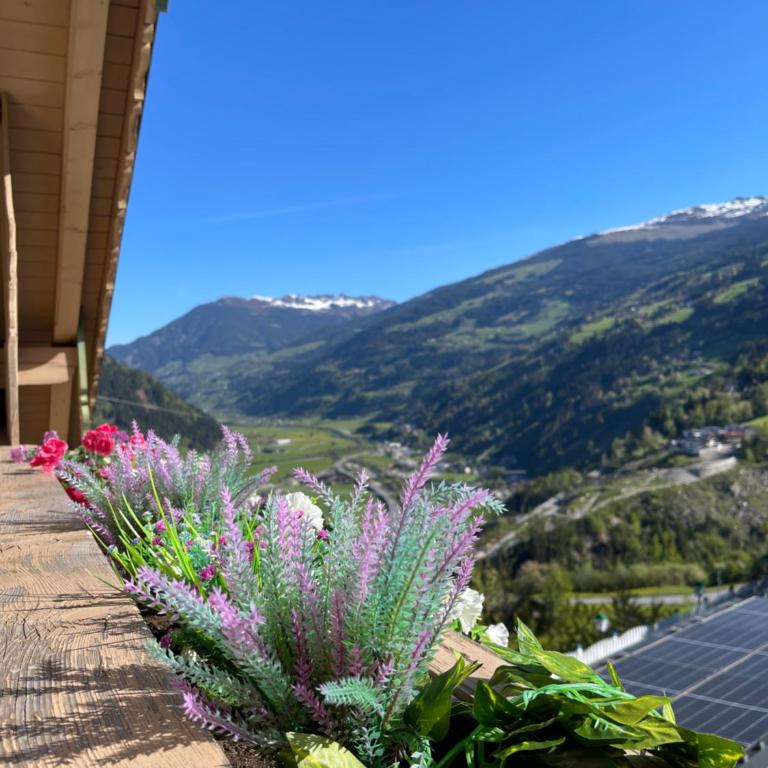 Der Waidachhof Zillertal - Apartment mit 3 Schlafzimmern - 4