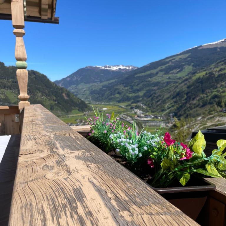 Der Waidachhof Zillertal - Apartment mit 3 Schlafzimmern - 22