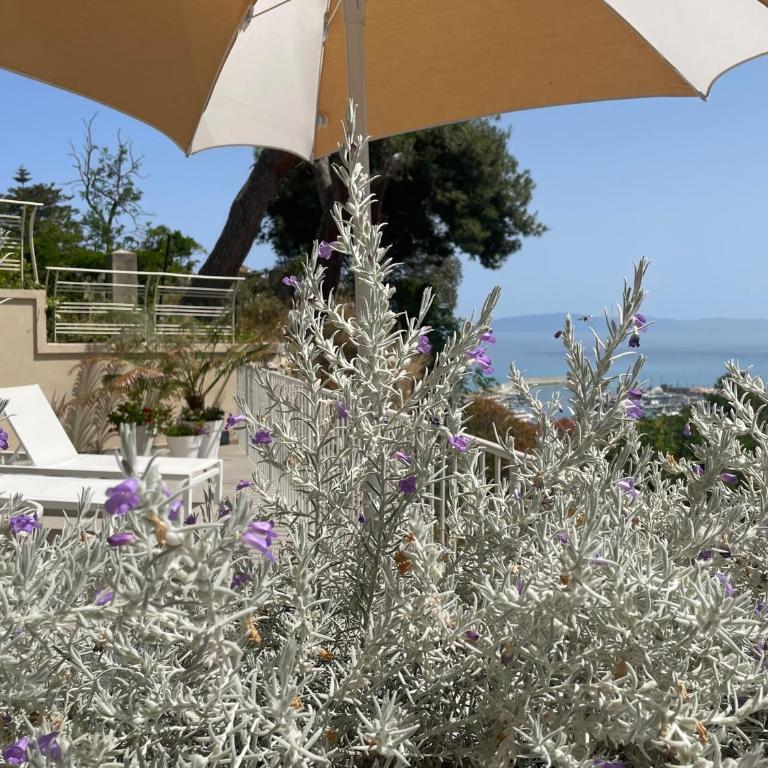 S'O Suites Tropea - One-Bedroom Apartment with Sea View - 18