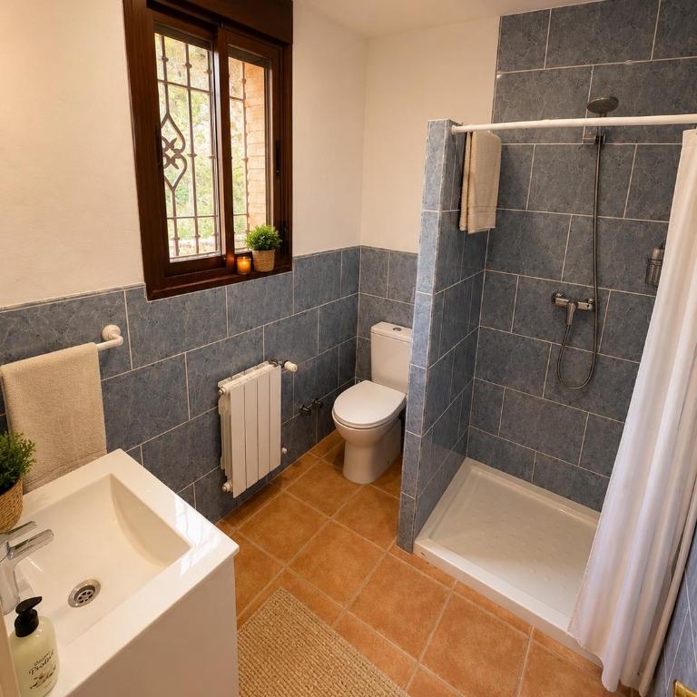 Villa Ronda Serena - Villa con piscina privada - 29