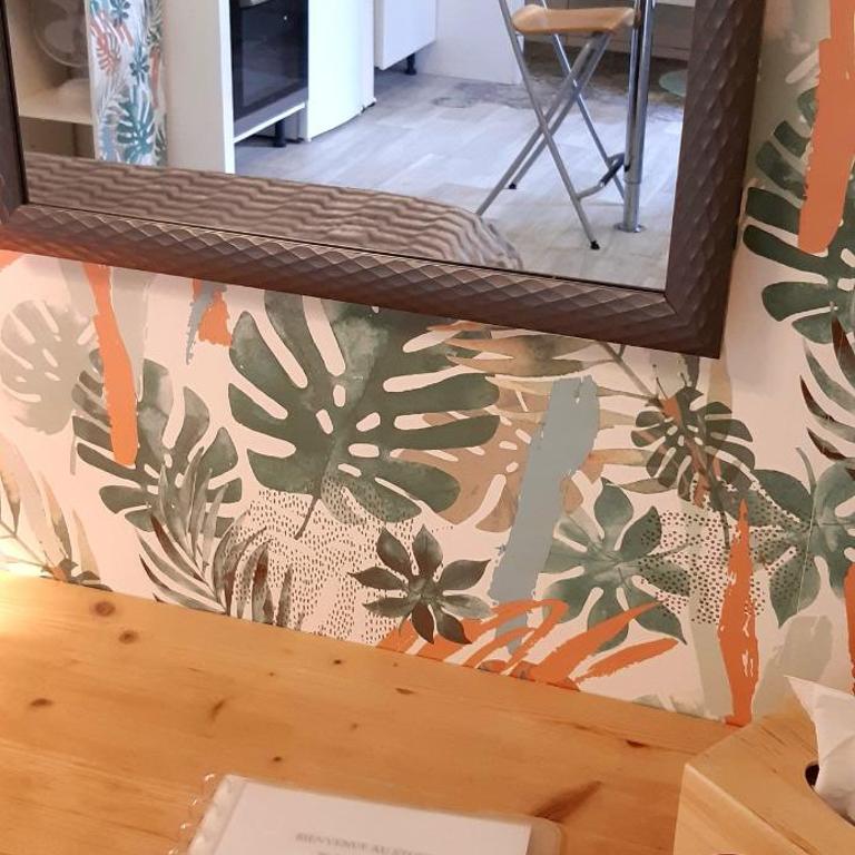 Studio cosy déco tropicale - 10 min gare & centre à pied - Apartamento de 1 dormitorio - 7