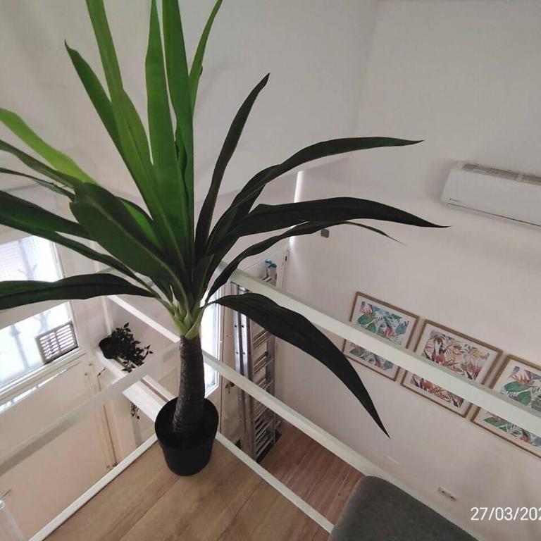 Pequeño Dúplex Junto casa Picasso - Apartamento de 1 dormitorio - 9