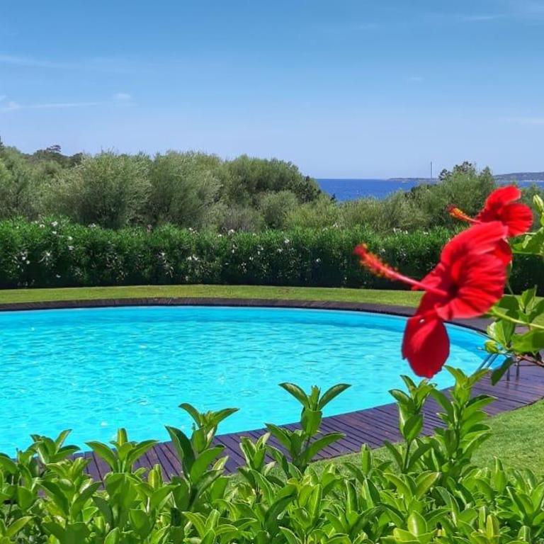 Over The Sea Punta Lada - Villa con Vista Mare - 3