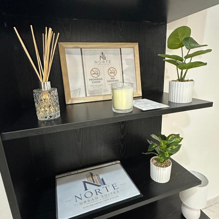 Norte Urban Suites - One-Bedroom Apartment - 13