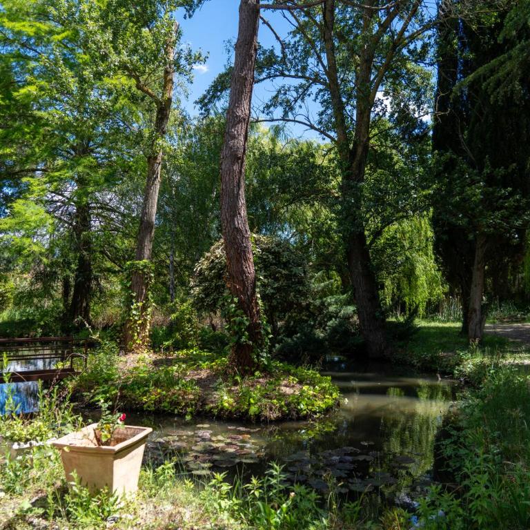 L'îlot Feng Shui - Jardin & 400m de la Cité - One-Bedroom Apartment - 3