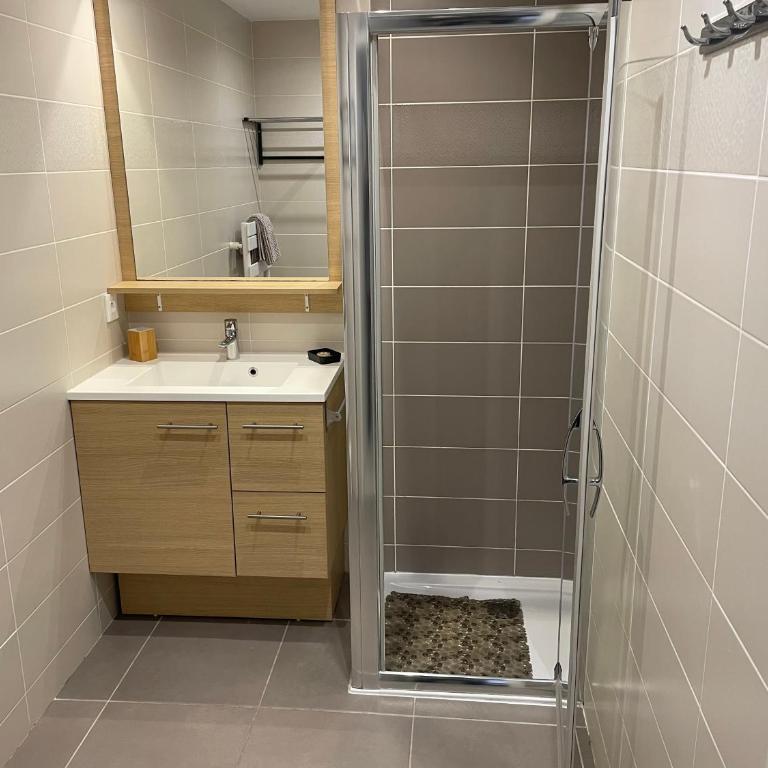 Bel appartement entier avec garage - Apartamento de 1 dormitorio - 8