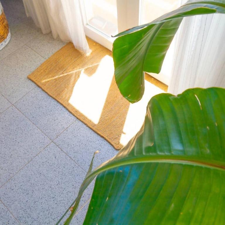 Casa Aromas Rural y campo • Playa • BBQ • 6PAX - Apartamento con terraza - 35