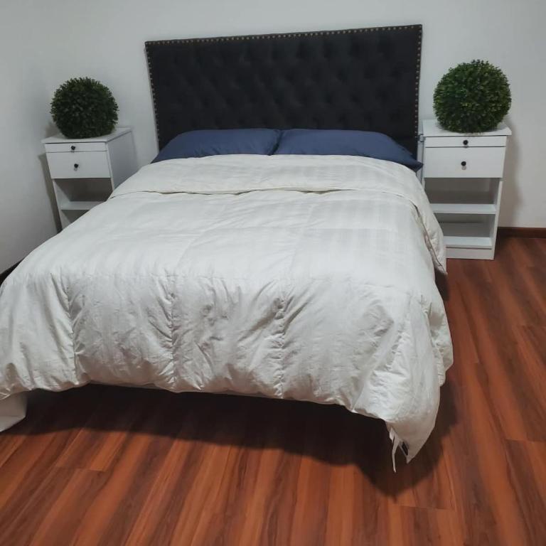 San Martín Apartment - Apartamento de 3 dormitorios con balcón - 15