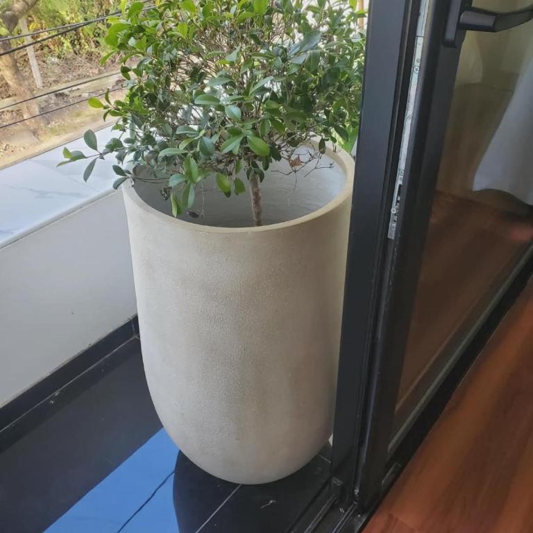 San Martín Apartment - Apartamento de 3 dormitorios con balcón - 25