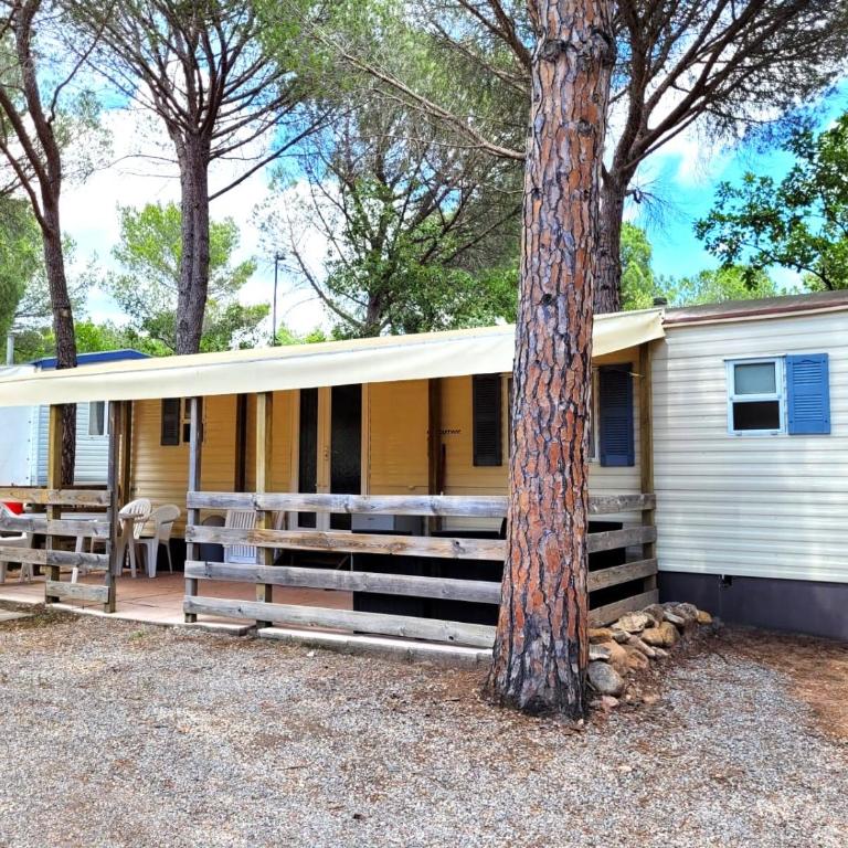 Greenchalets Roquebrune Sur Argens - Caravane - 10