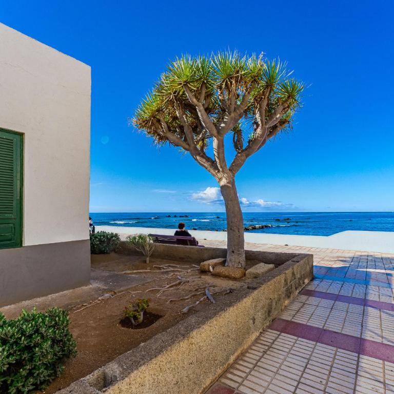 Atlantic View Premium Oceanfront Suite - Apartamento Premium con 1 dormitorio y vistas al mar - 34