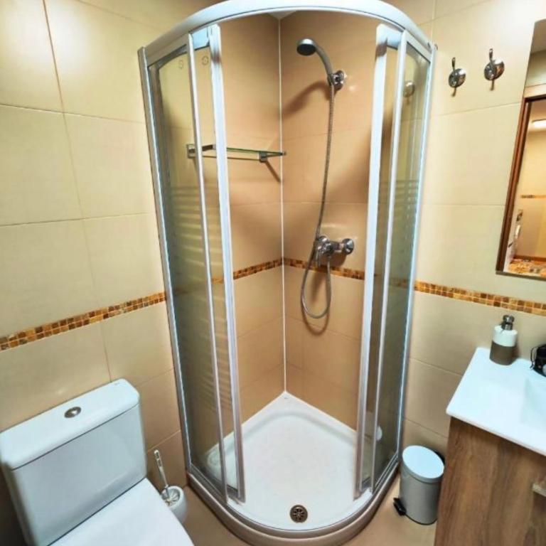 Refugio pirenaico en Escarrilla - Apartamento de 1 dormitorio - 15