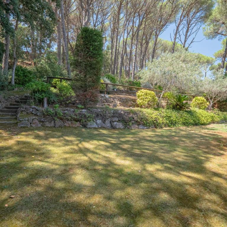 DS-1 Calella de Palafrugell 6 Pax - Apartamento de 3 dormitorios - 35