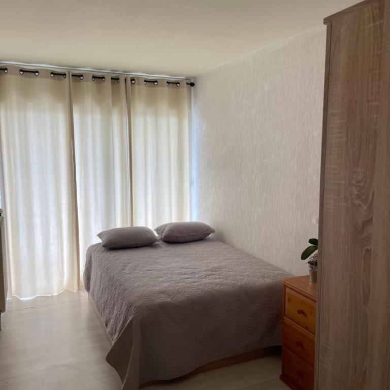 Idéal frontalier 15 min centre Geneve - Appartement 1 Chambre - 5