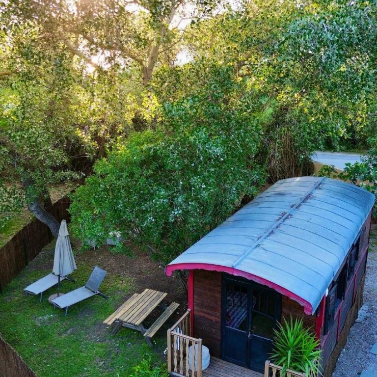 La Cabana Canoubiers Beach 30m Saint-Tropez - Apartamento de 1 dormitorio - 1
