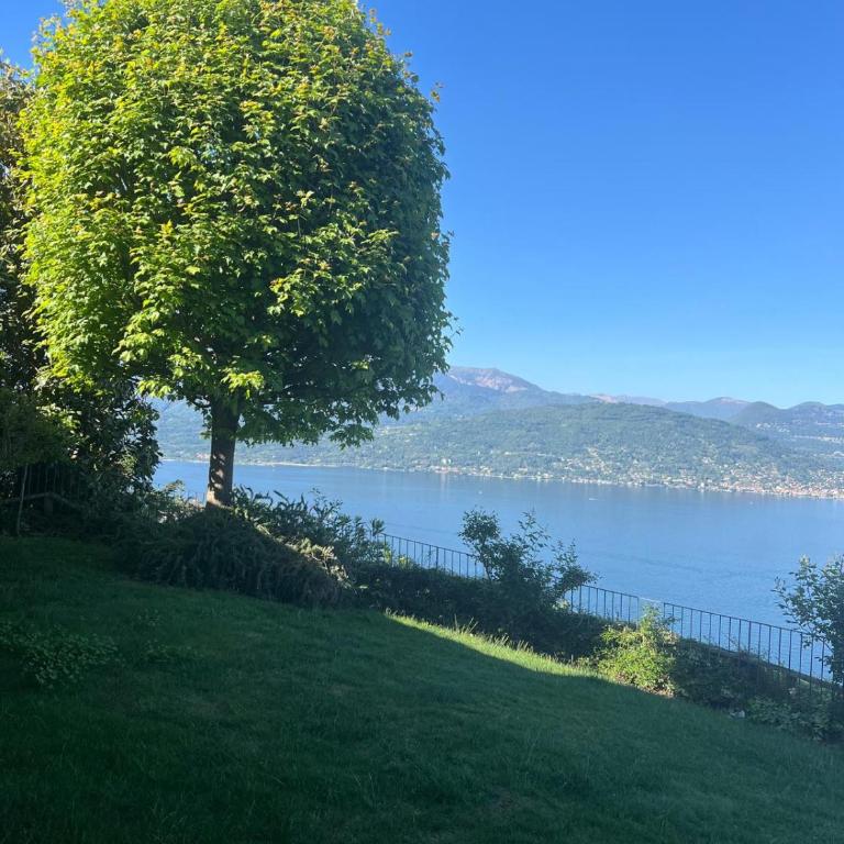 Villa Stresa Lakeview and Pool - Villa con Piscina Privata - 3