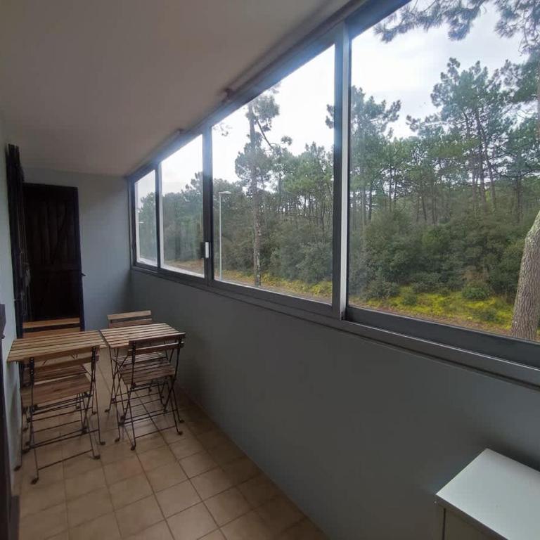Proche commerces vue foret - Appartement - 10