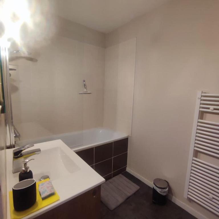 Proche commerces vue foret - Appartement - 9