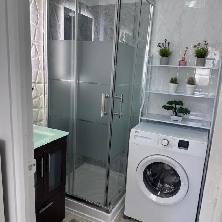 CaktisRent - Apartamento de 1 dormitorio - 13