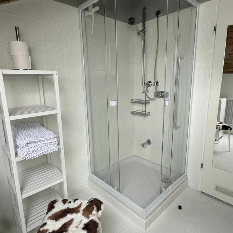 Traum Fewo Hindelang - Apartment - 21