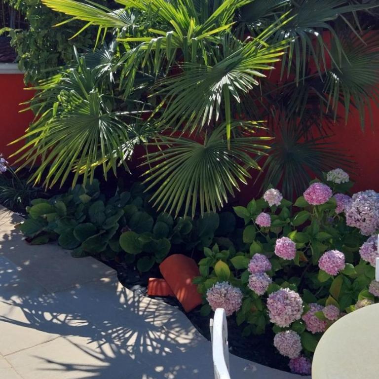 Villa Paloma climatisée, avec piscine au sel - Maison 2 Chambres - 23