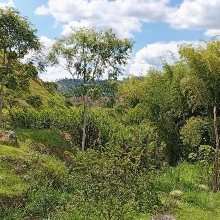 1920 Casa Campestre - Four-Bedroom House - 34
