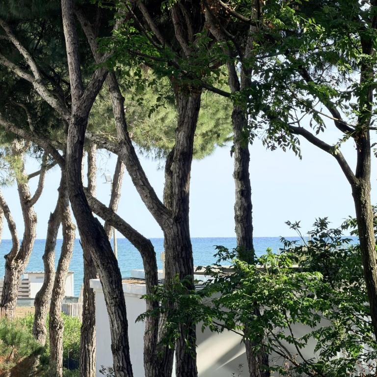 G-Beach - Home immobiliare - Appartamento con 2 Camere da Letto - 28