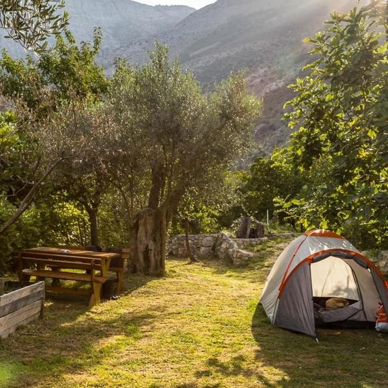 My Olive Garden Camp - Šator - 1