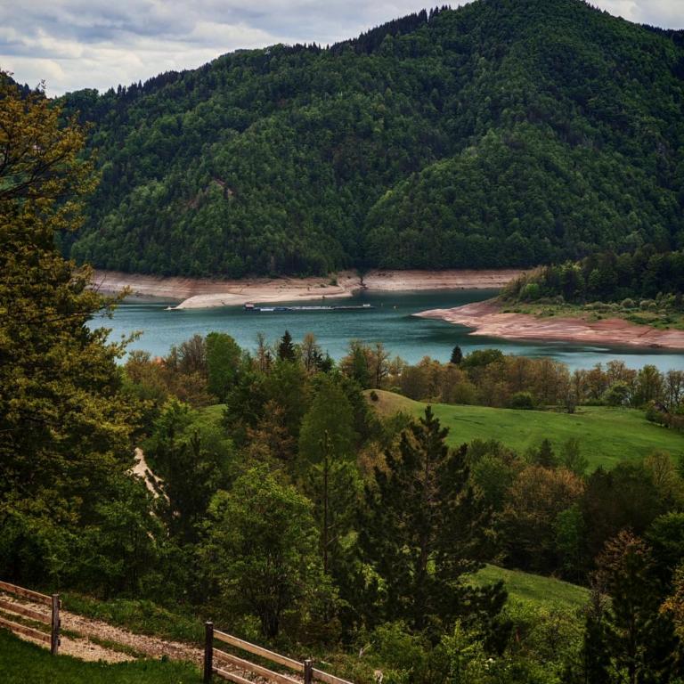 Zaovinska Panorama I - Apartman sa 1 Spavaćom Sobom - 10