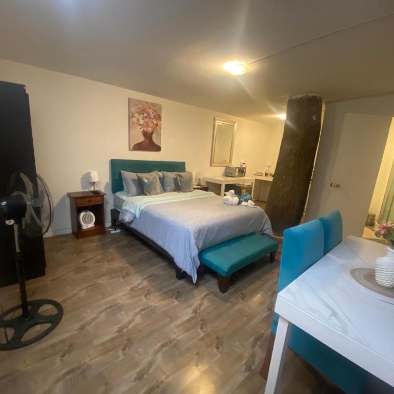 Eco Home estudio - El Golf 5 - Apartamento de 1 dormitorio - 10
