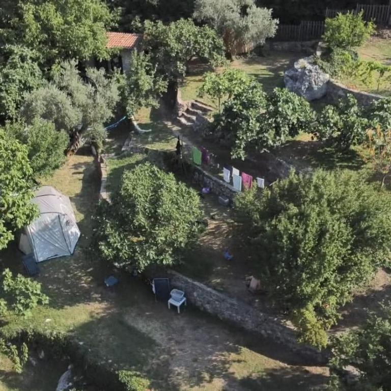 My Olive Garden Camp - Šator - 5