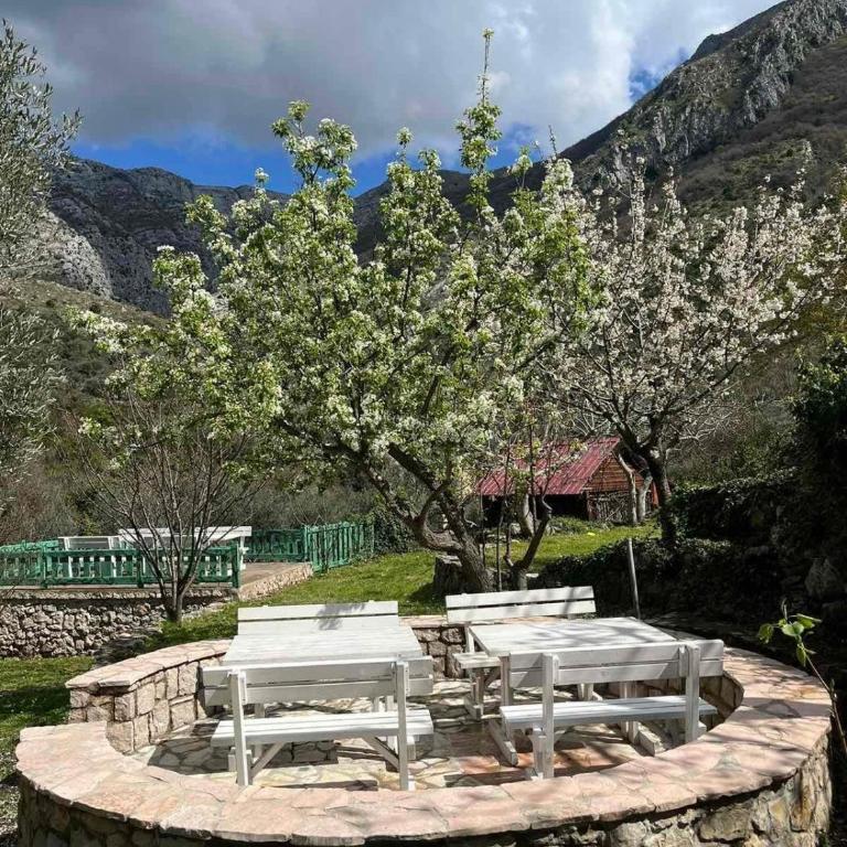 My Olive Garden Camp - Šator - 6