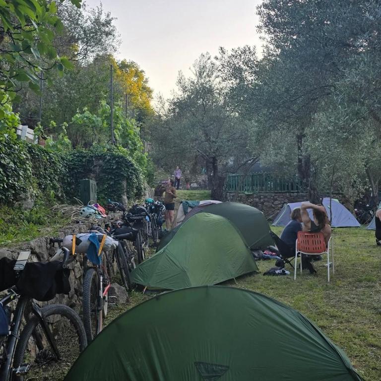 My Olive Garden Camp - Šator - 7