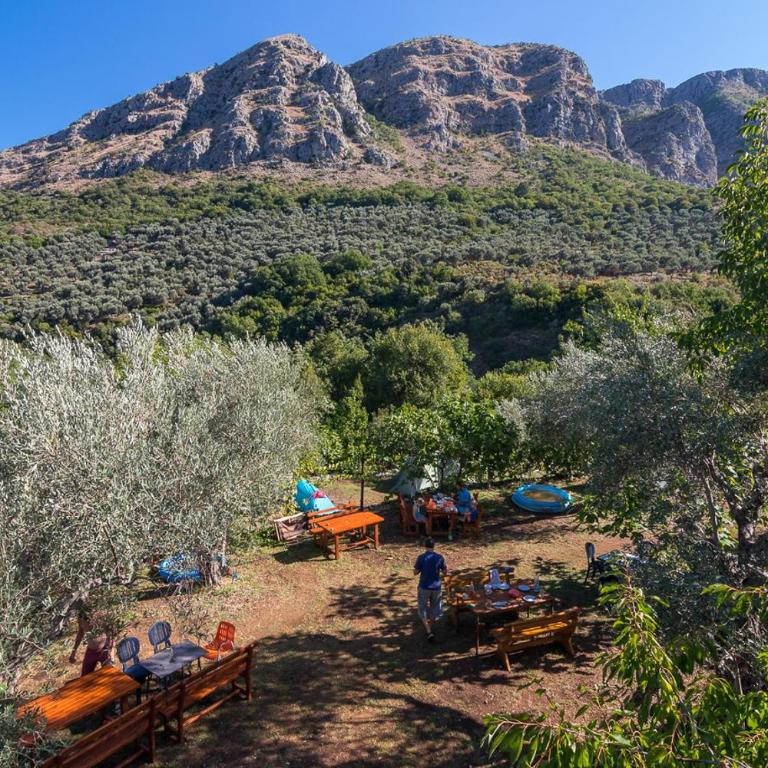 My Olive Garden Camp - Šator - 10