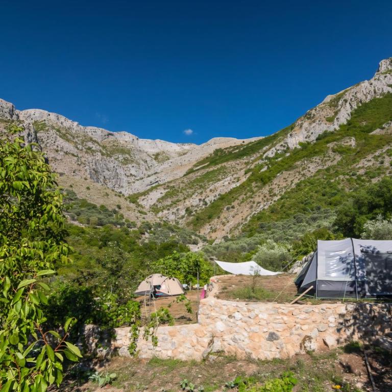 My Olive Garden Camp - Šator - 12